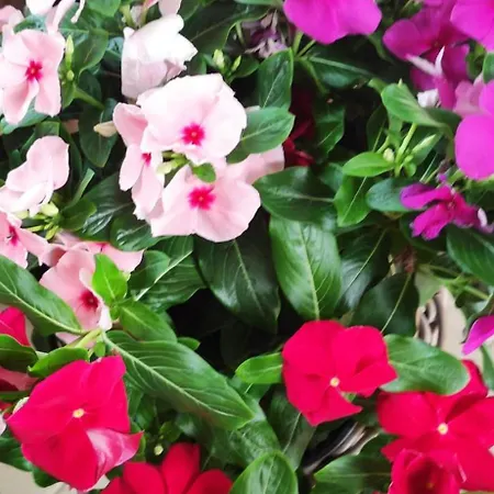 Holiday home Marika *